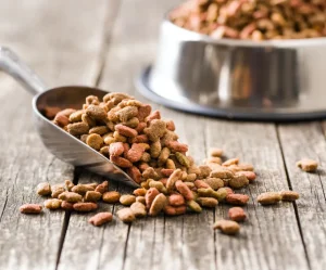 Premium Dog Food