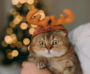Reindeer Pet Costume