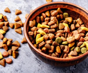 Healthy Dog Food