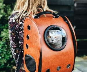 Pet Carrier Bag