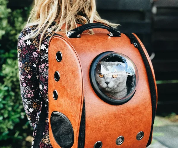 Pet Carrier Bag