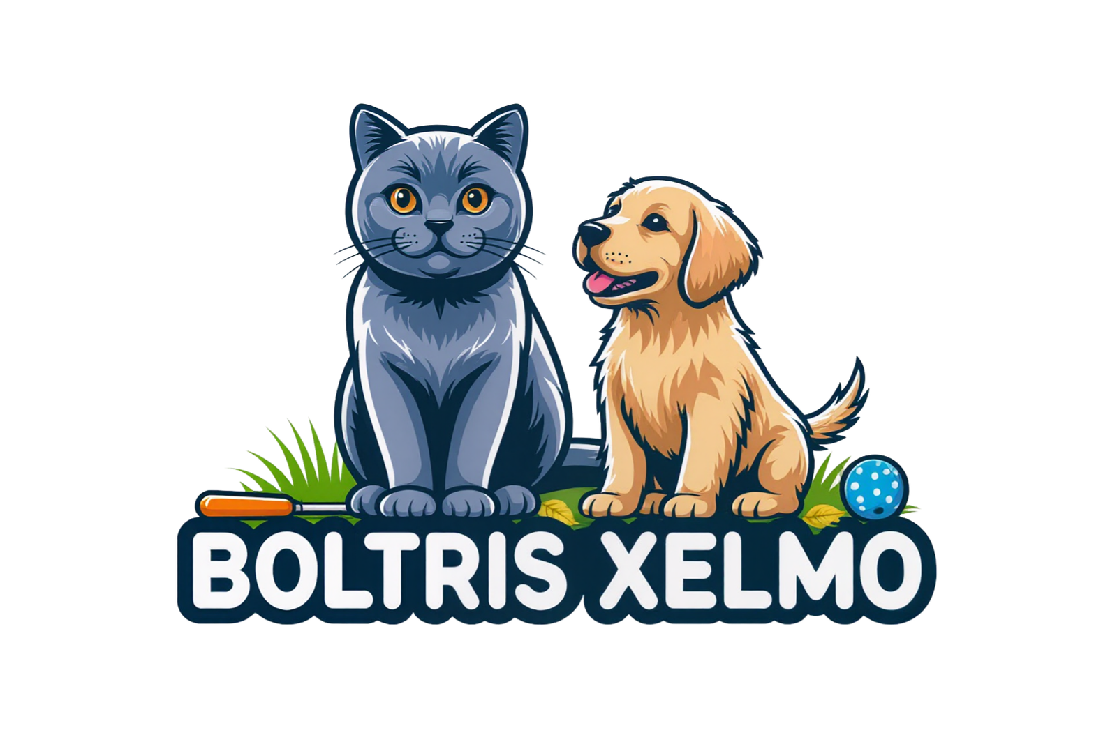 BOLTRIS XELMO LLC